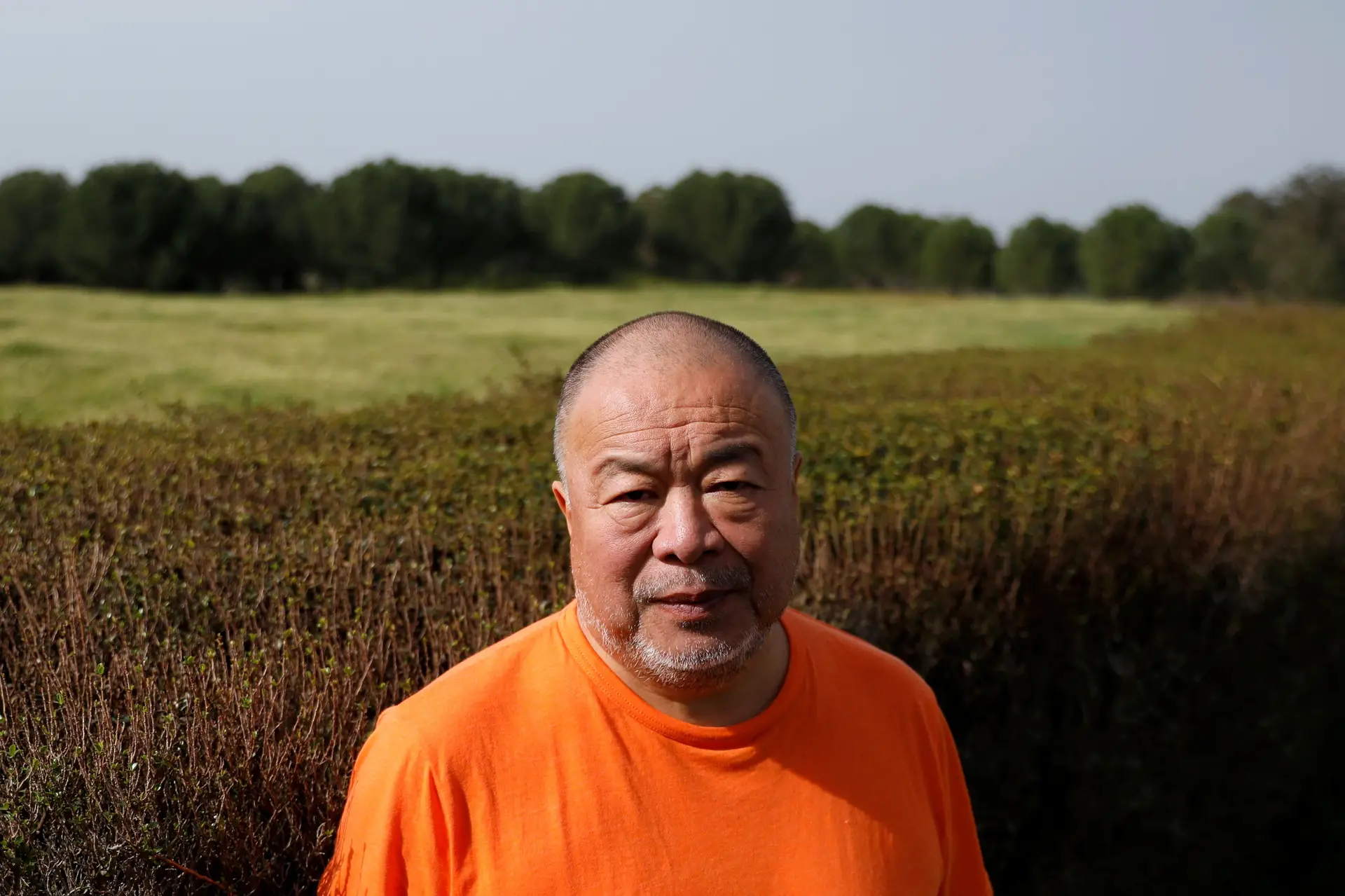 Autobiografia de Ai Weiwei aborda 100 anos de vida de artista e do pai