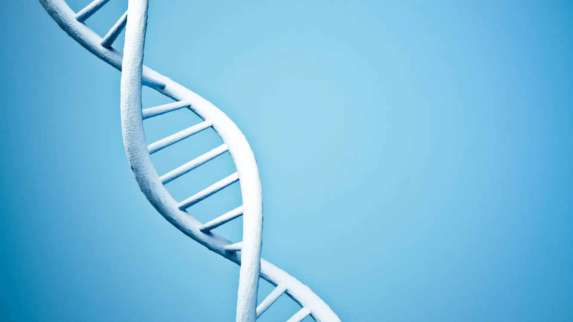 Investigadores ibéricos criam método inovador para reconstruir populações antigas através do ADN
