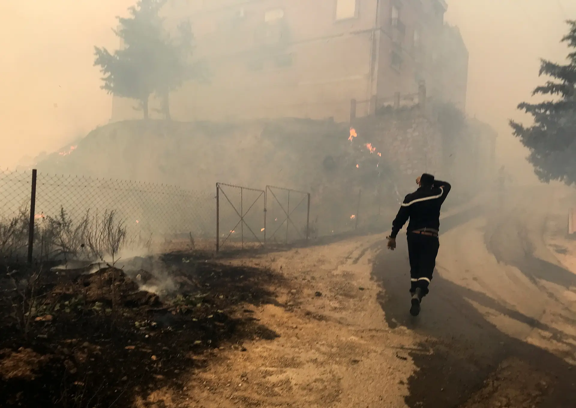 Incêndios na Argélia fazem pelo menos 65 mortos