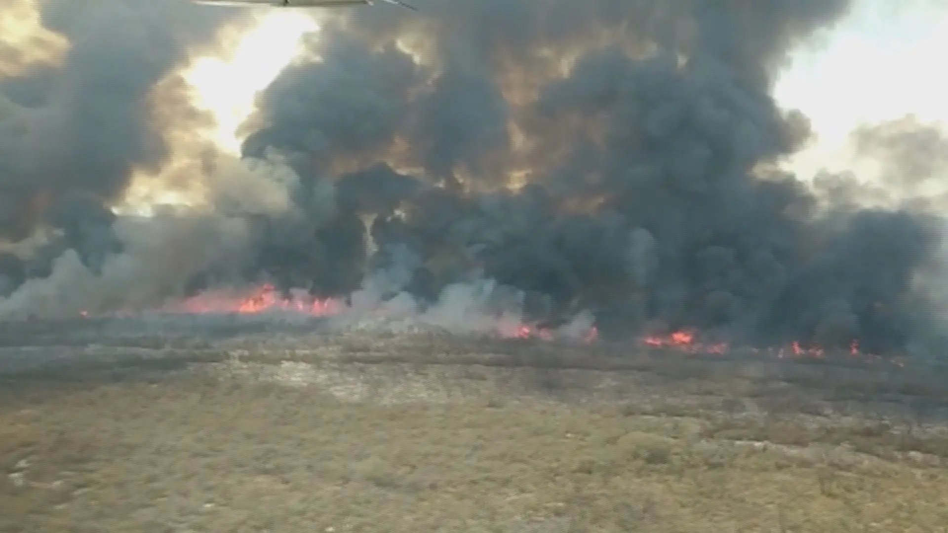 Incêndios na Bolívia. Já arderam mais de 60 mil hectares em Santa Cruz