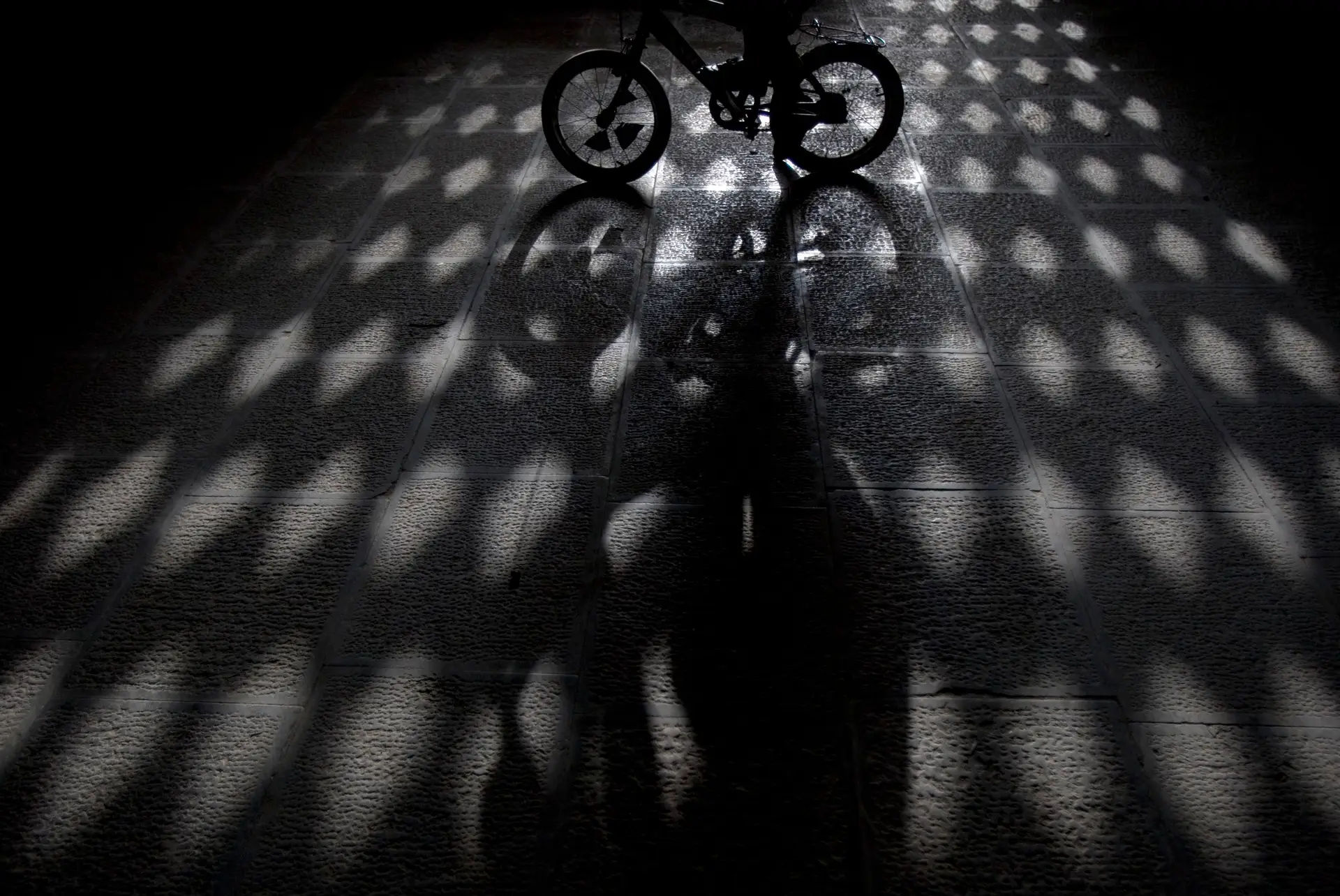 Governo aposta no ciclismo como desporto escolar para o 2.º ciclo