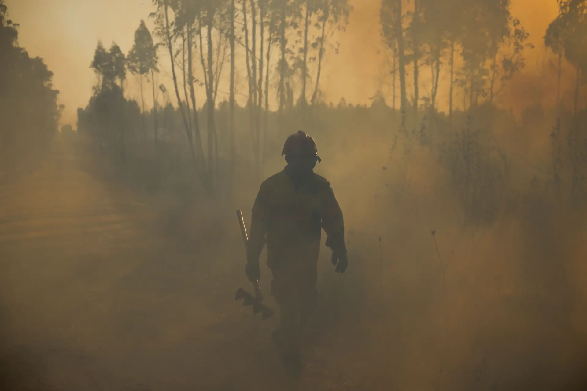 Incêndio no Alandroal chega perto de casas e obriga à retirada de moradores