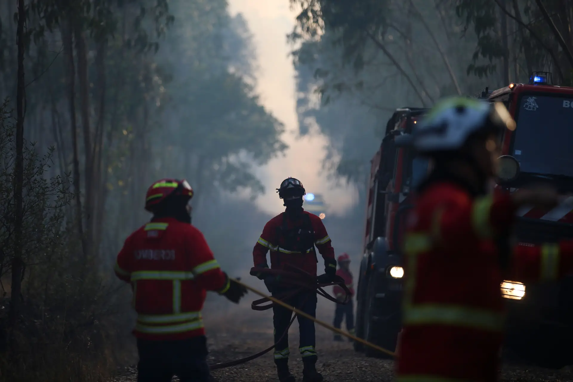 Incêndio em Mogadouro obriga ao corte do IC5 e da Estrada Nacional 221