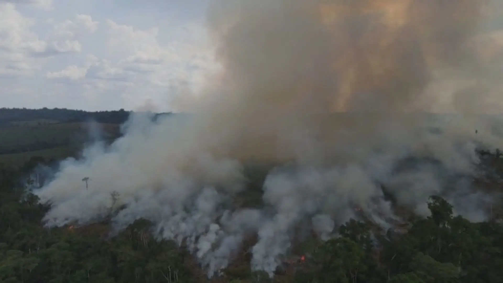 Amazónia brasileira regista em setembro menor número de incêndios dos últimos 20 anos