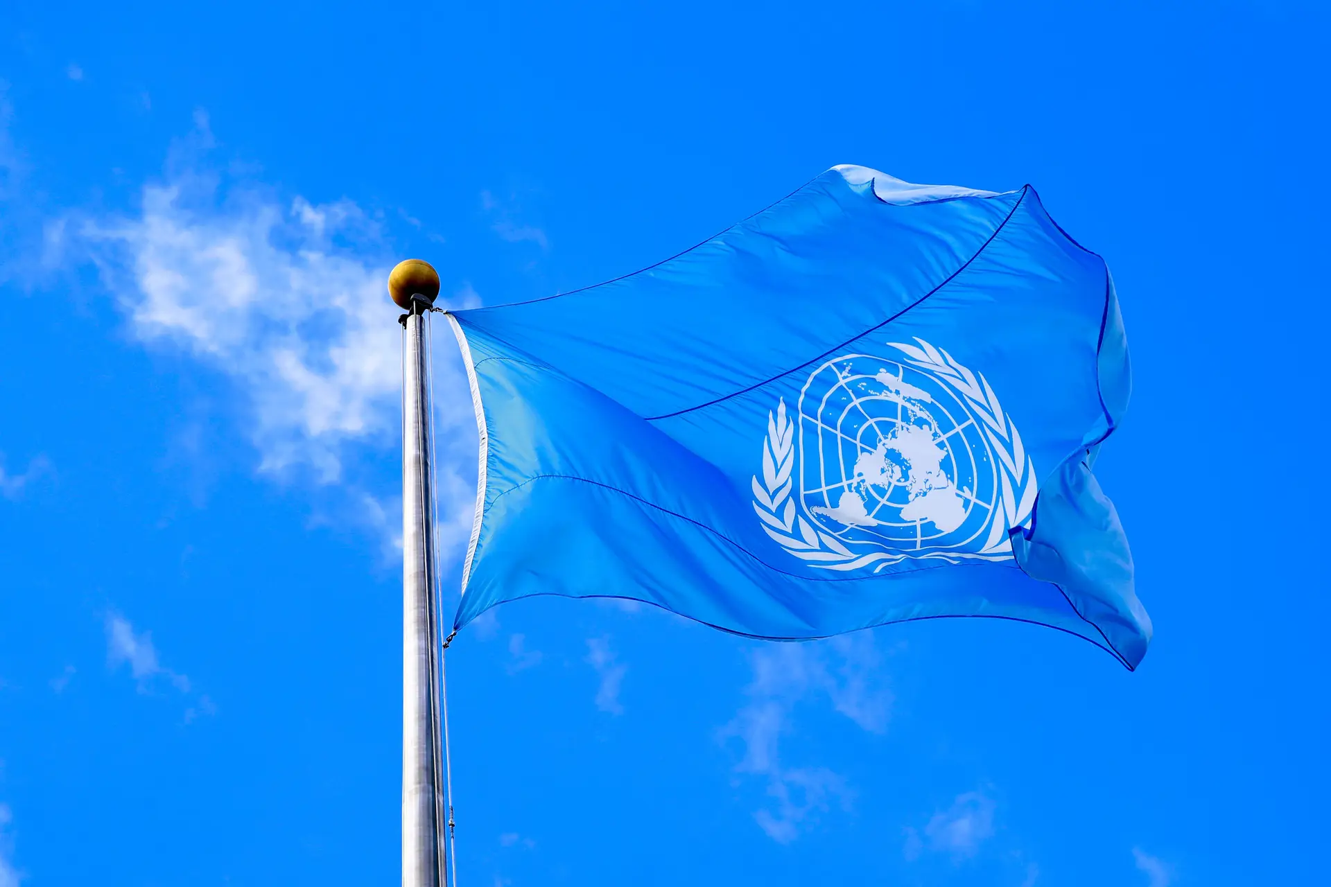 Afeganistão. Talibãs prometem à ONU que vão facilitar operações humanitárias