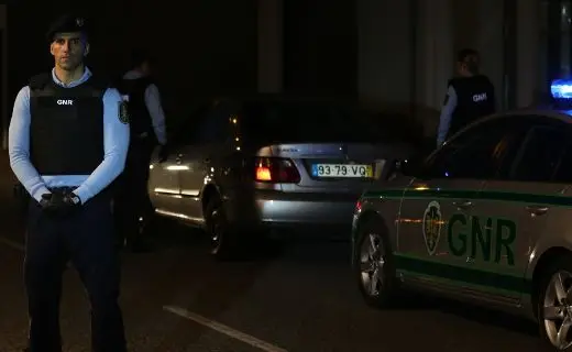 Homem constituído arguido em Vila Nova de Gaia por maus-tratos a animais