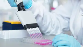 Nova imunoterapia com origem portuguesa testada nos EUA