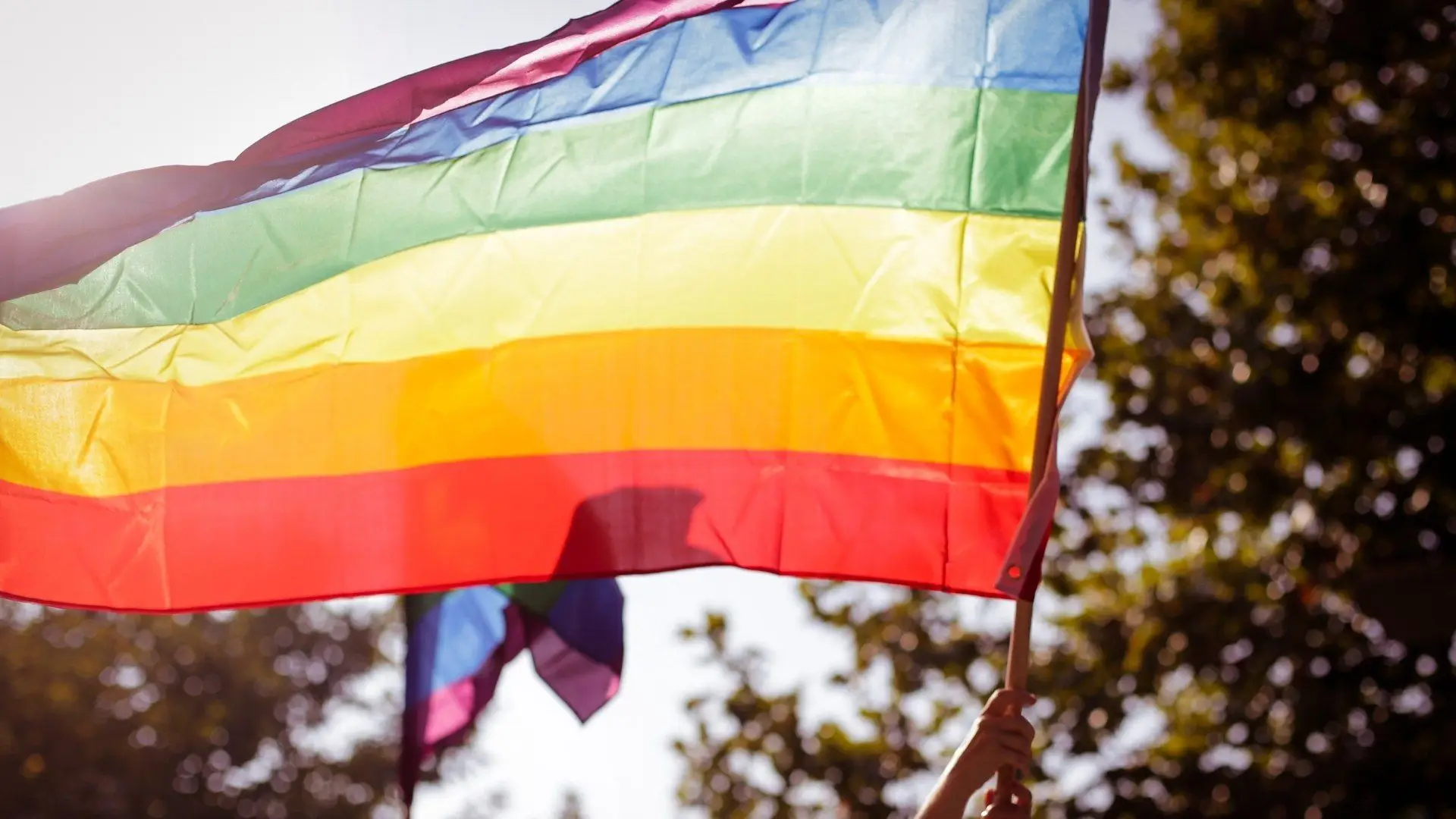 Parlamento vai iluminar cores da bandeira arco-íris pelos direitos LGBTI