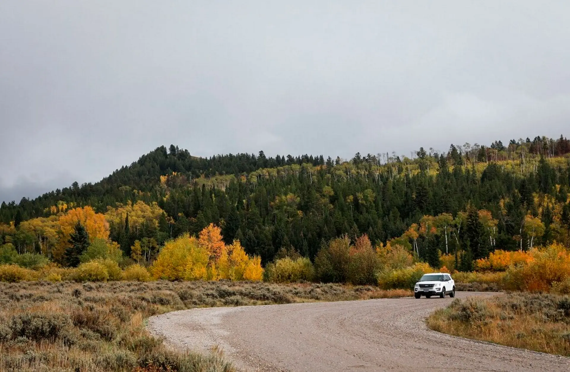 Floresta Nacional Bridger-Teton, no Parque Nacional Grand Teton, em Wyoming.