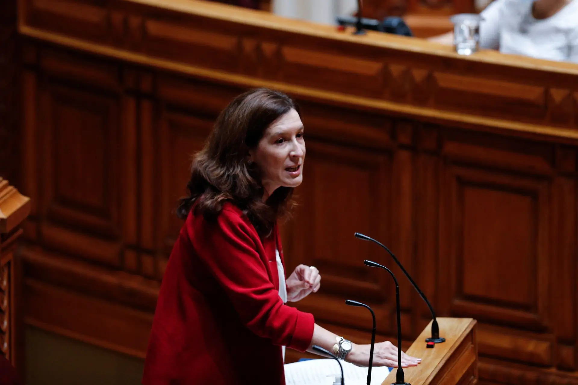 Deputada do CDS Cecília Meireles deixa vida política  