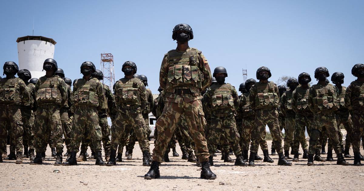 Le Portugais Sérgio Estrela choisi pour diriger la mission d'assistance militaire de l'UE au Mozambique