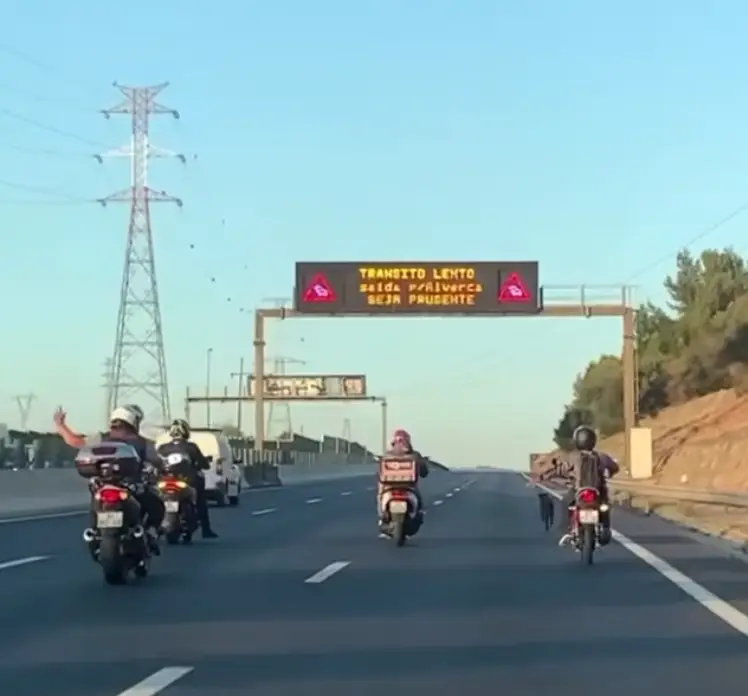 Cordão de motociclistas salva cadela perdida na A1