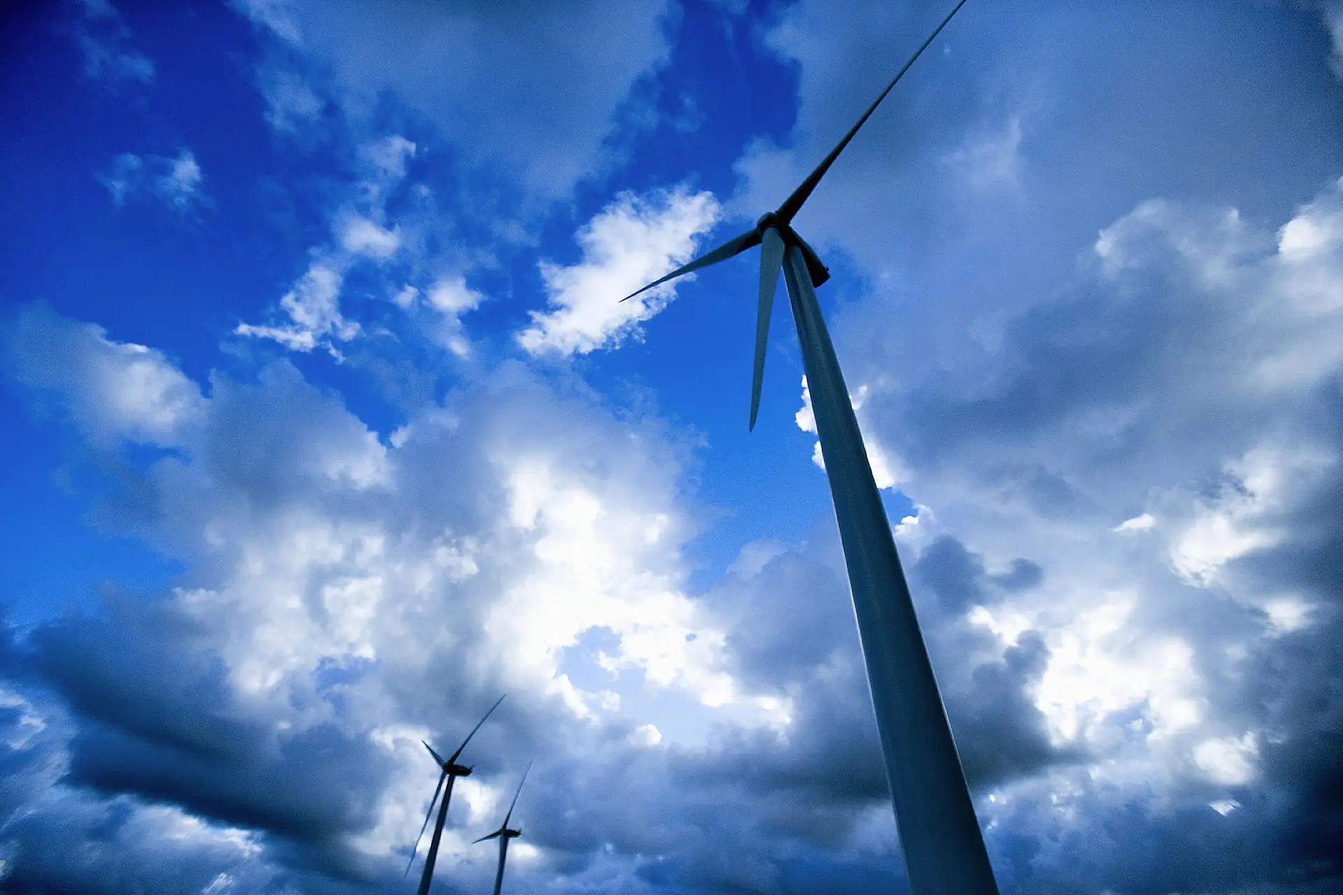 COP 26: Rede Europeia de Ação Climática quer energia 100% renovável até 2040