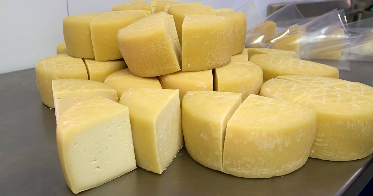 Das montanhas às planícies: como se produzem os mais prestigiados queijos nacionais