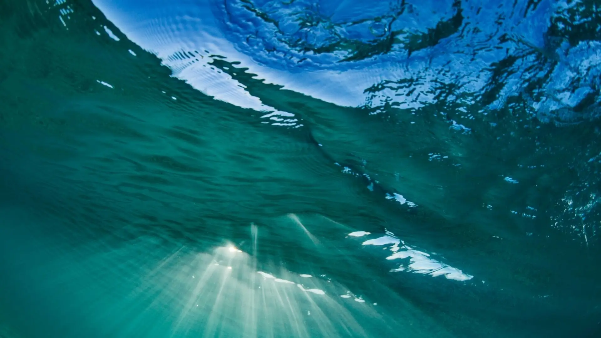 Reino Unido mobiliza oito milhões de euros para proteger oceanos 