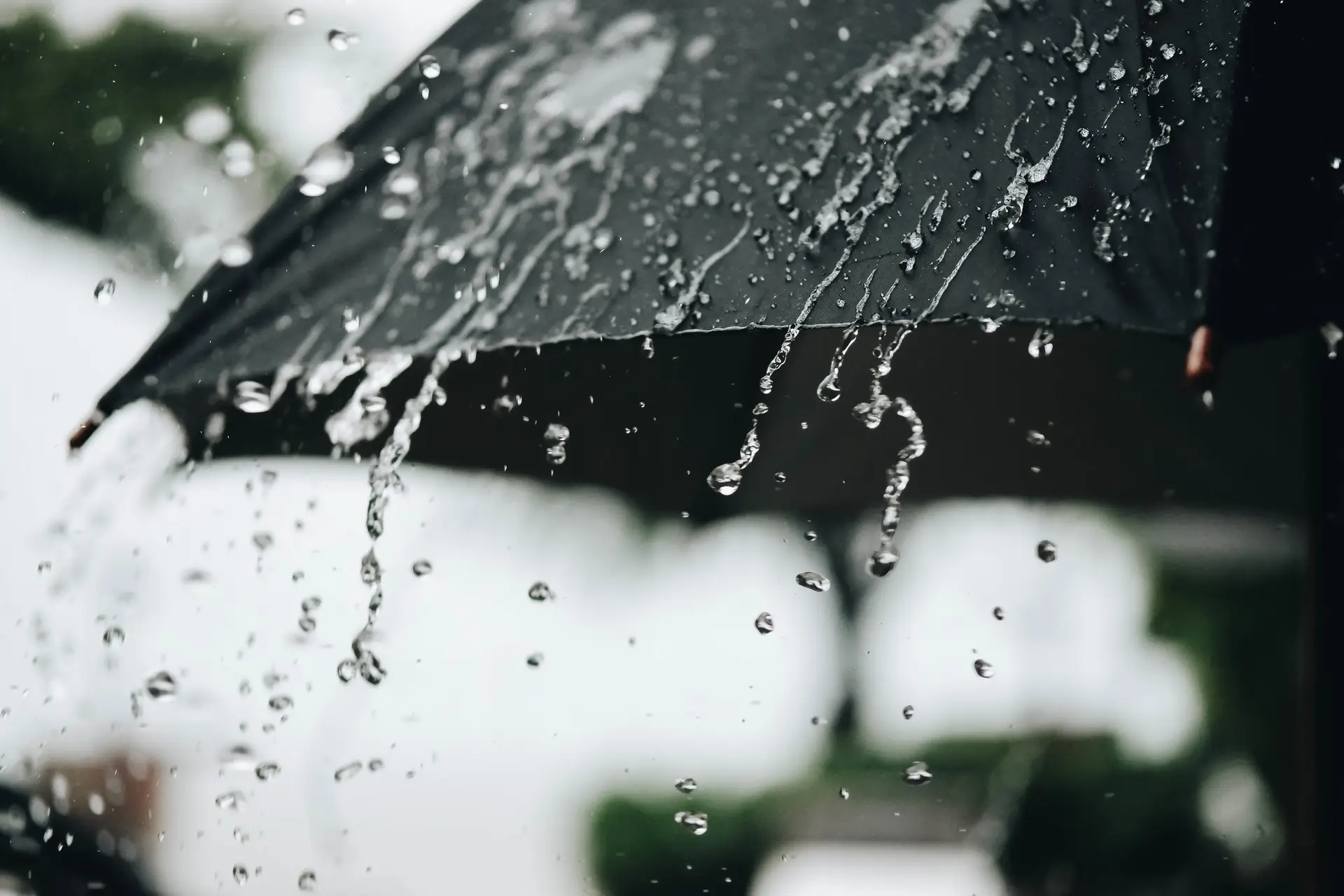 Chuva e vento: Proteção Civil registou mais de 500 ocorrências entre domingo e segunda-feira