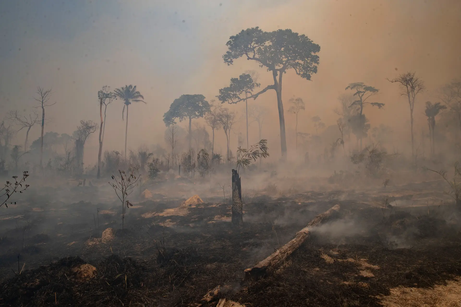 Nesta foto de arquivo de 23 de agosto de 2020, o fogo consome terras recentemente desmatadas por criadores de gado perto de Novo Progresso, no estado do Pará, Brasil.