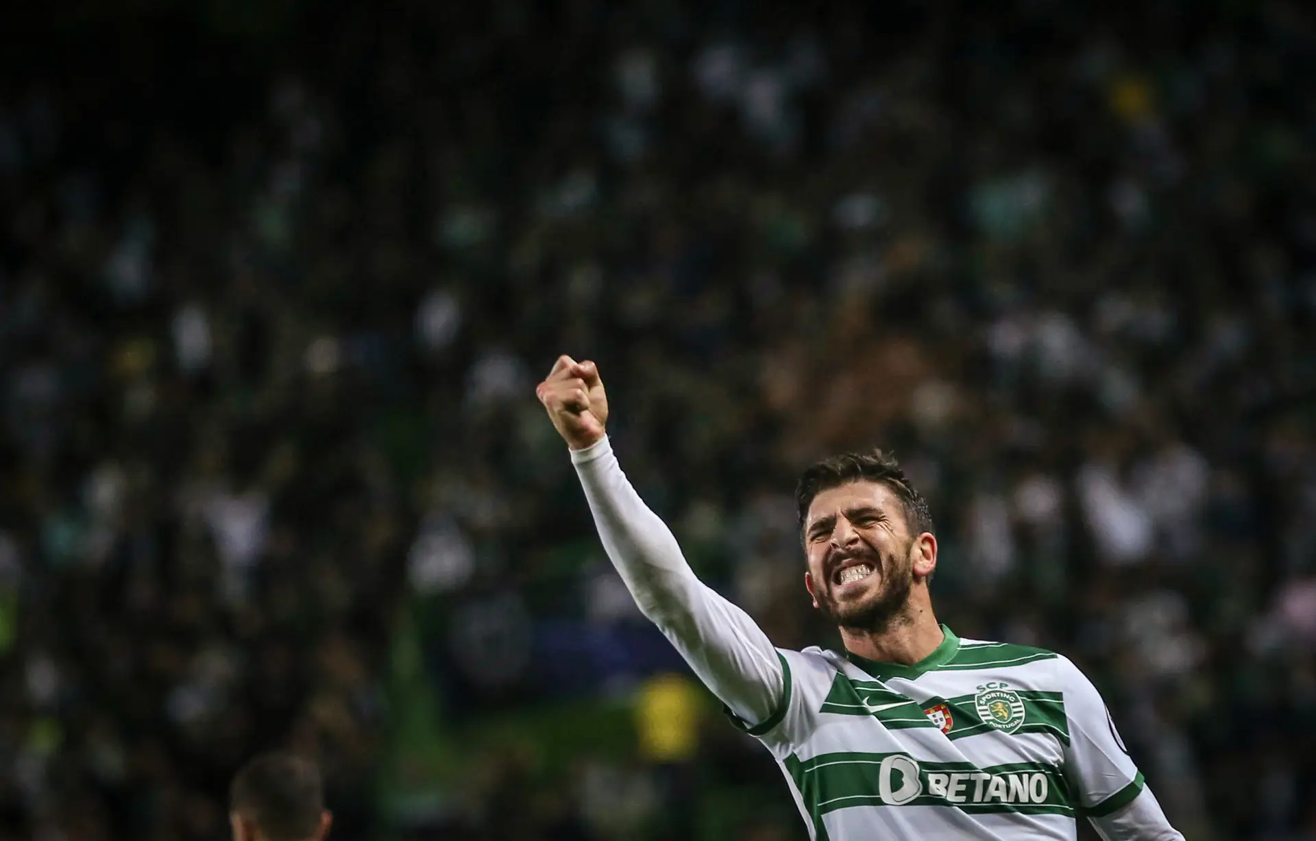 Liga dos Campeões: FC Porto e Sporting tentam acesso aos oitavos