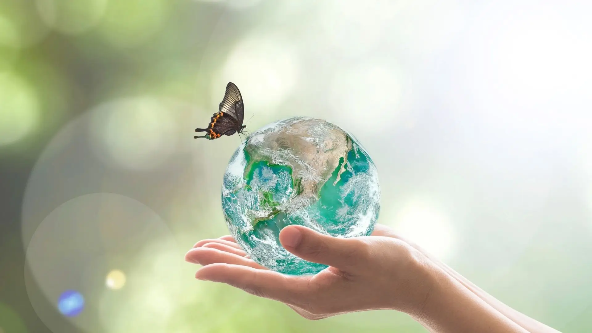 Análise COP26: biodiversidade em risco