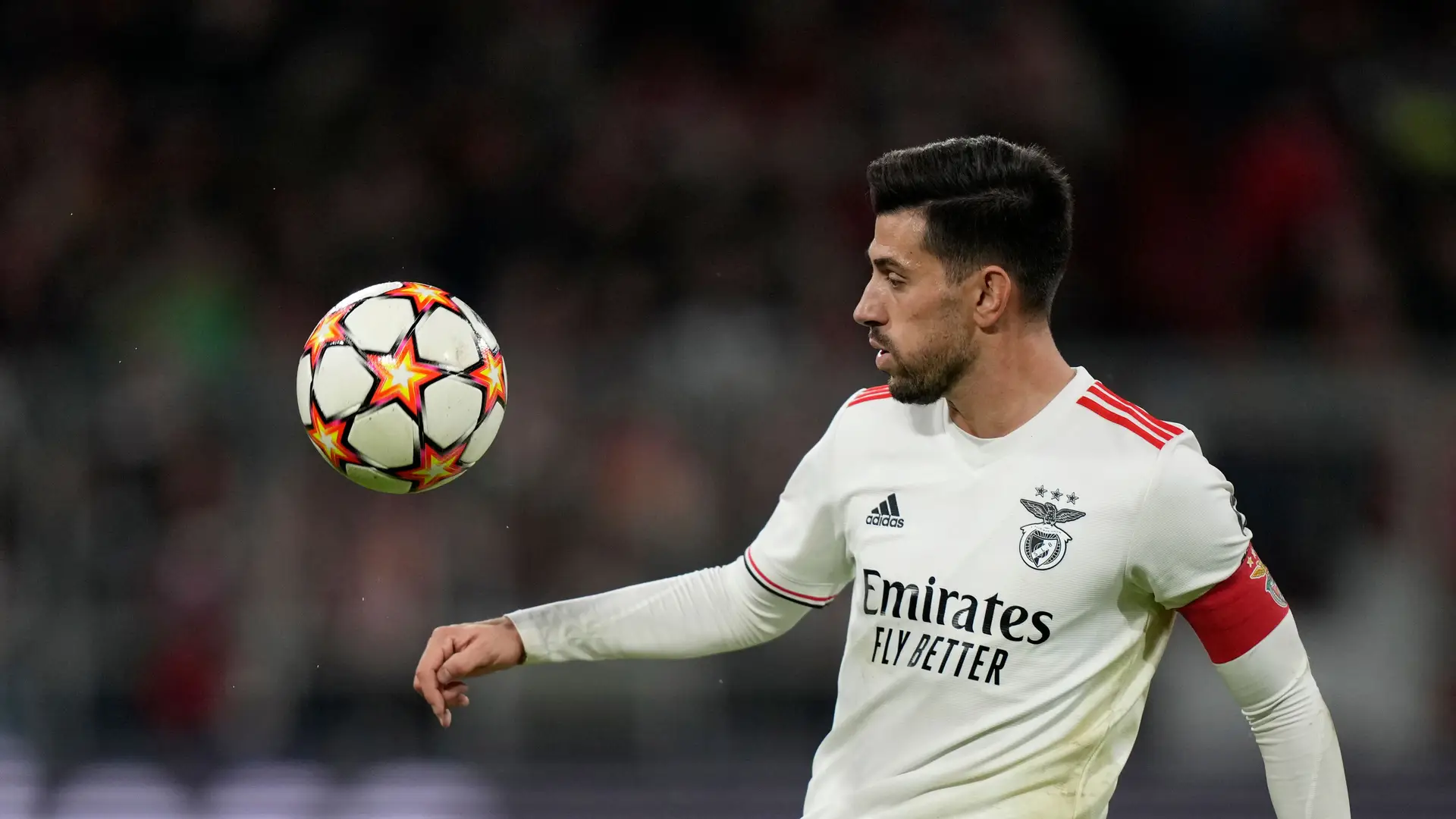 Adán e Pizzi estão focados em ganhar títulos para Sporting e Benfica