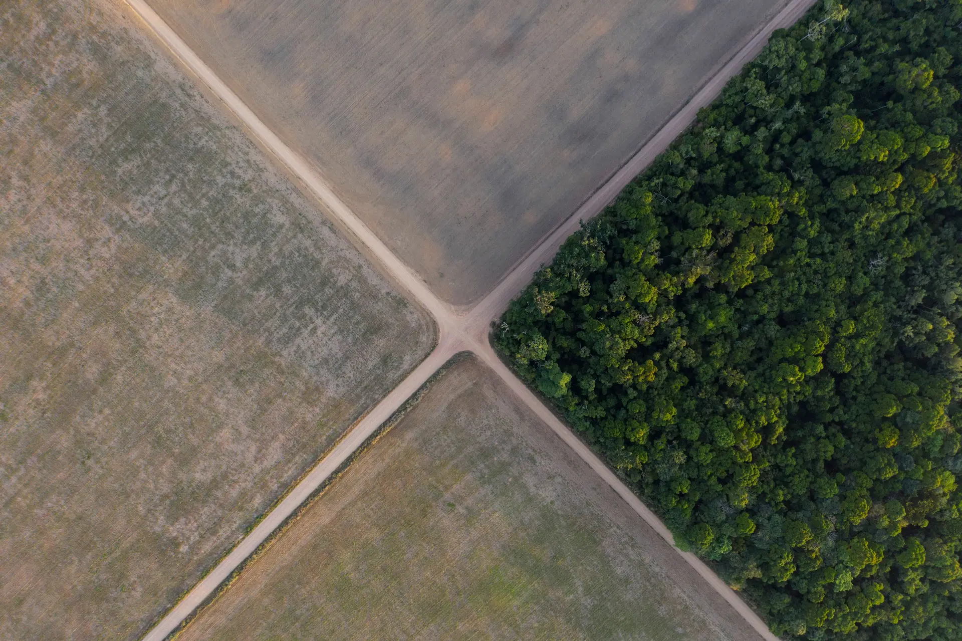 COP26: Brasil diz que eliminará o desflorestamento ilegal até 2028