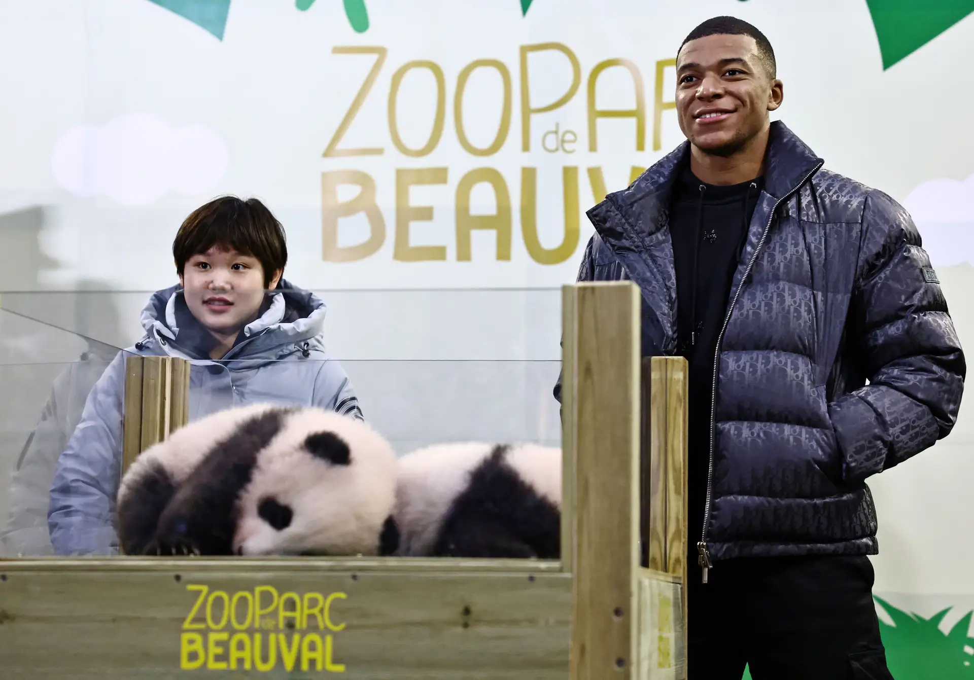 Mbappé apadrinha panda bebé de Zoológico em França
