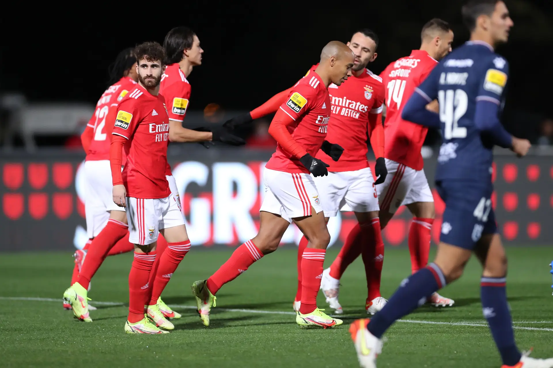 Elementos do Benfica testam negativo à covid-19