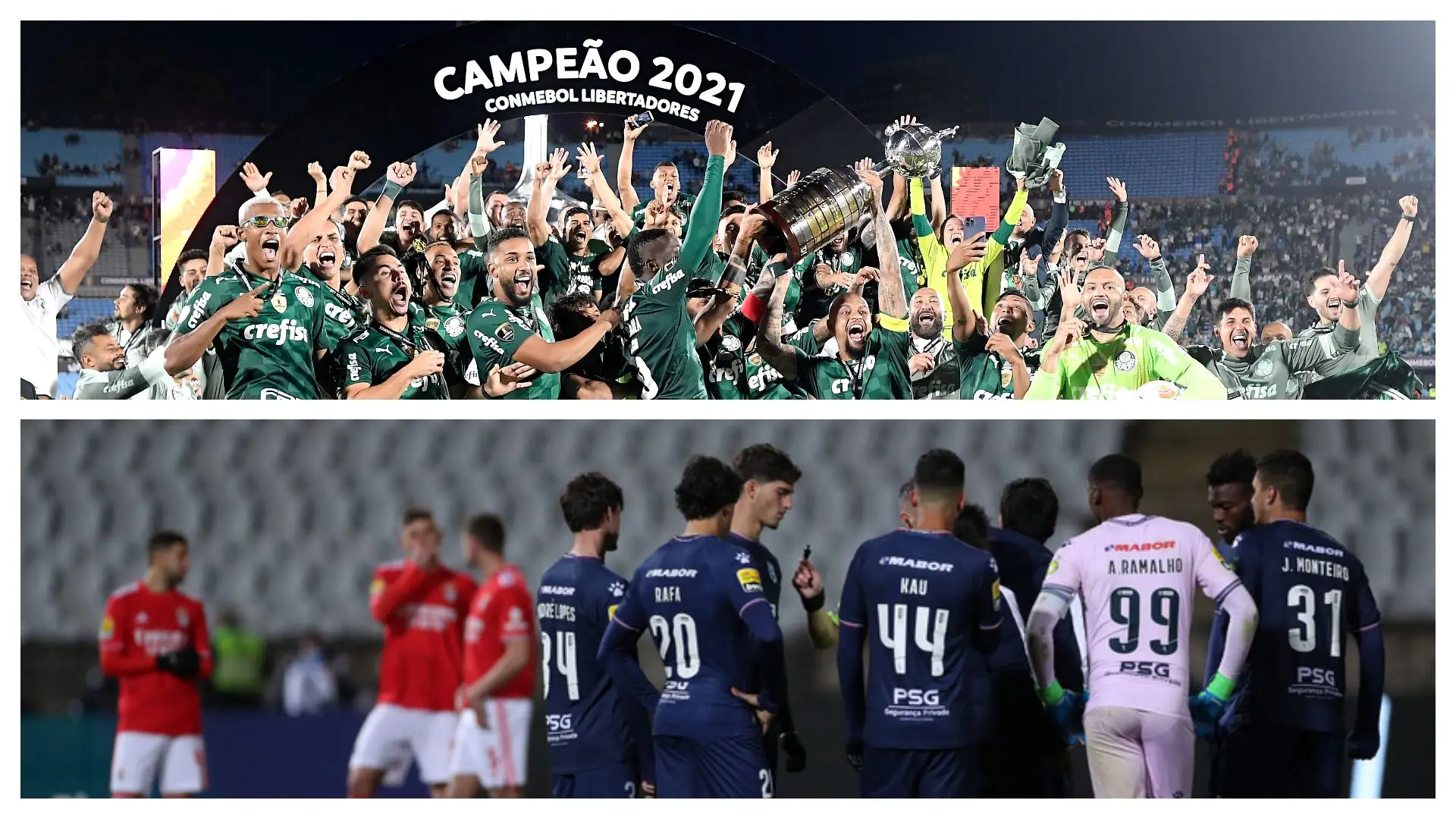 O oásis da competência no meio da bruxaria  