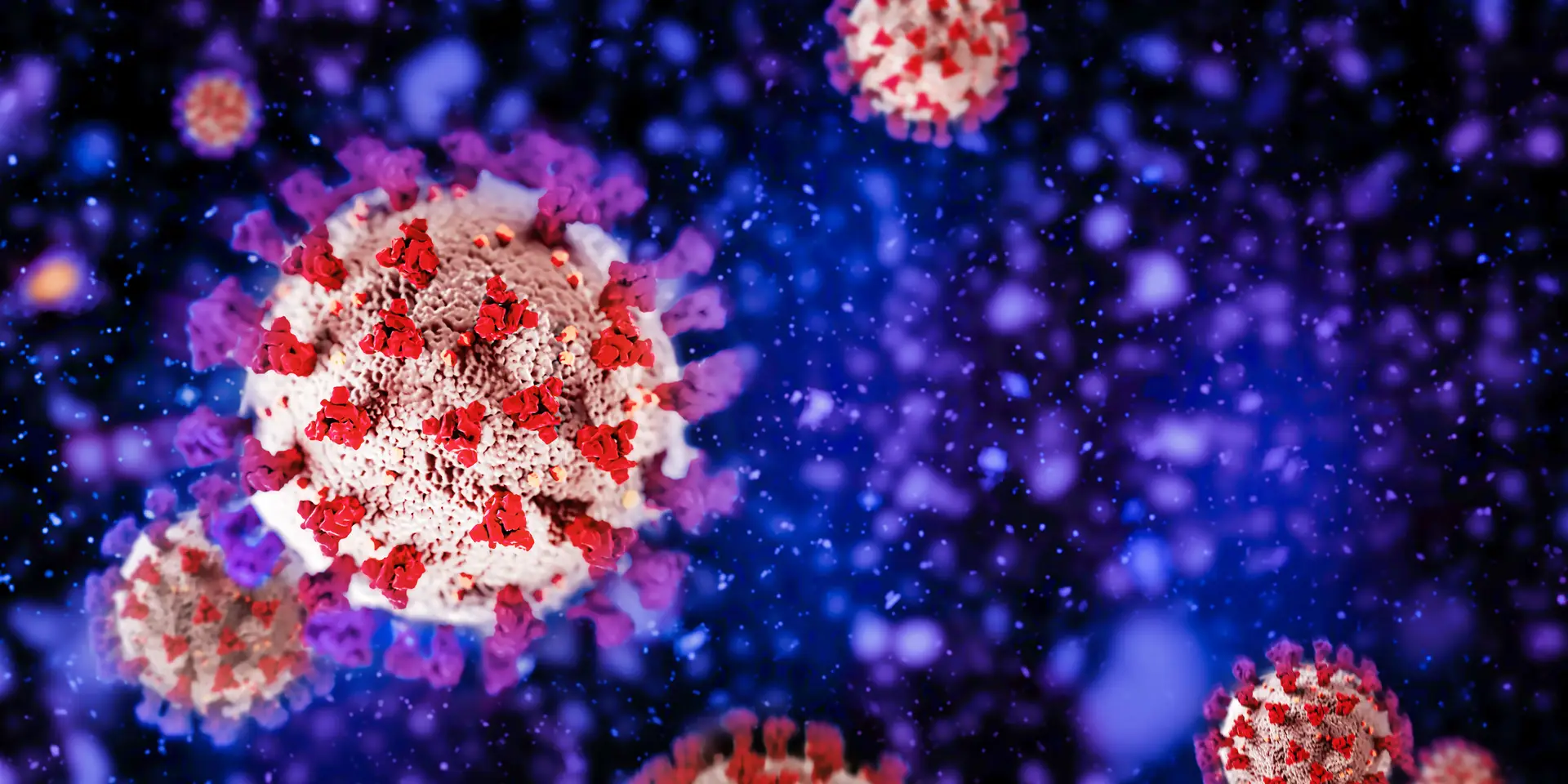 Linhagem BA.5 da variante Ómicron responsável por 97% das infeções de covid-19 em Portugal