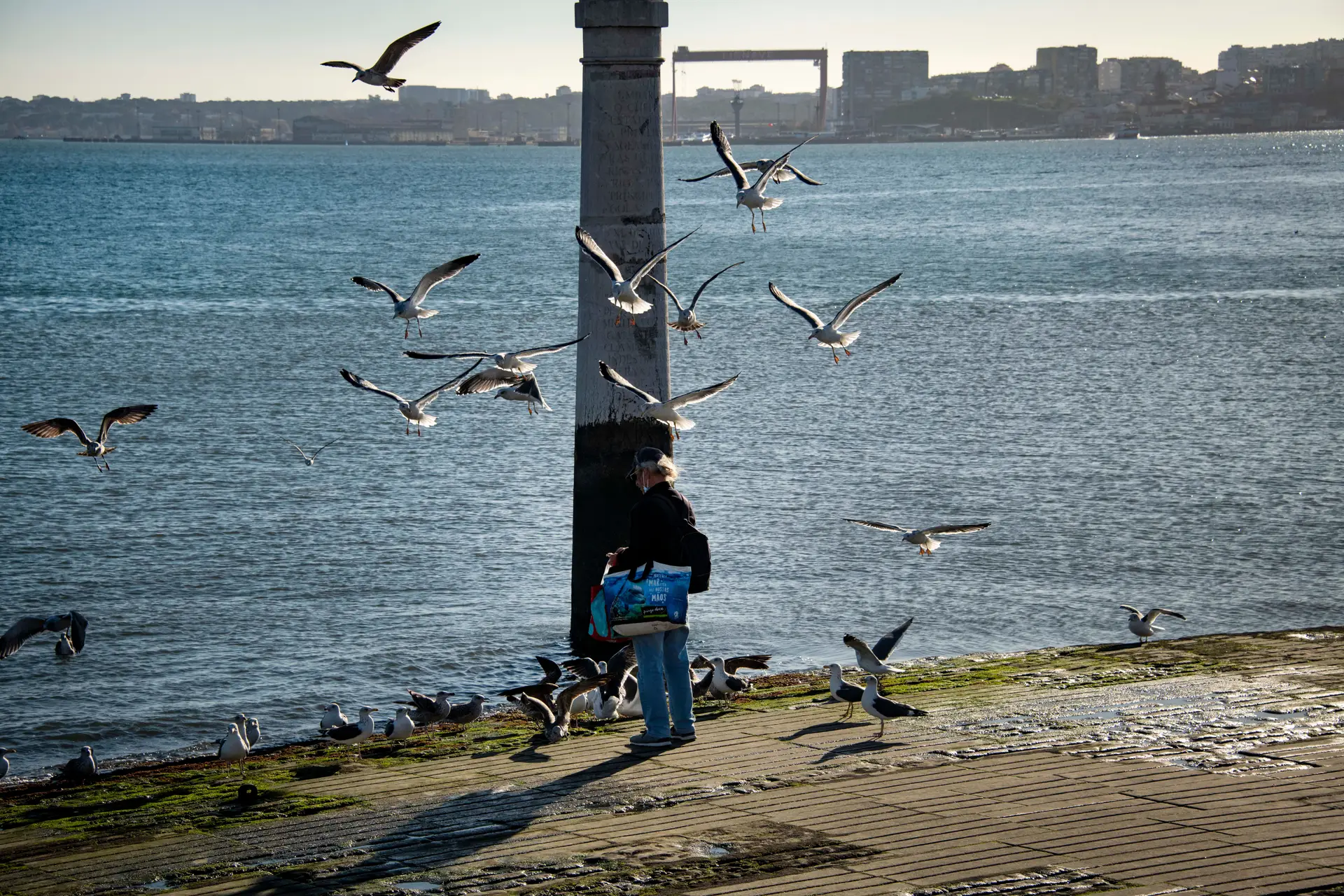 Cais das Colunas, Lisboa