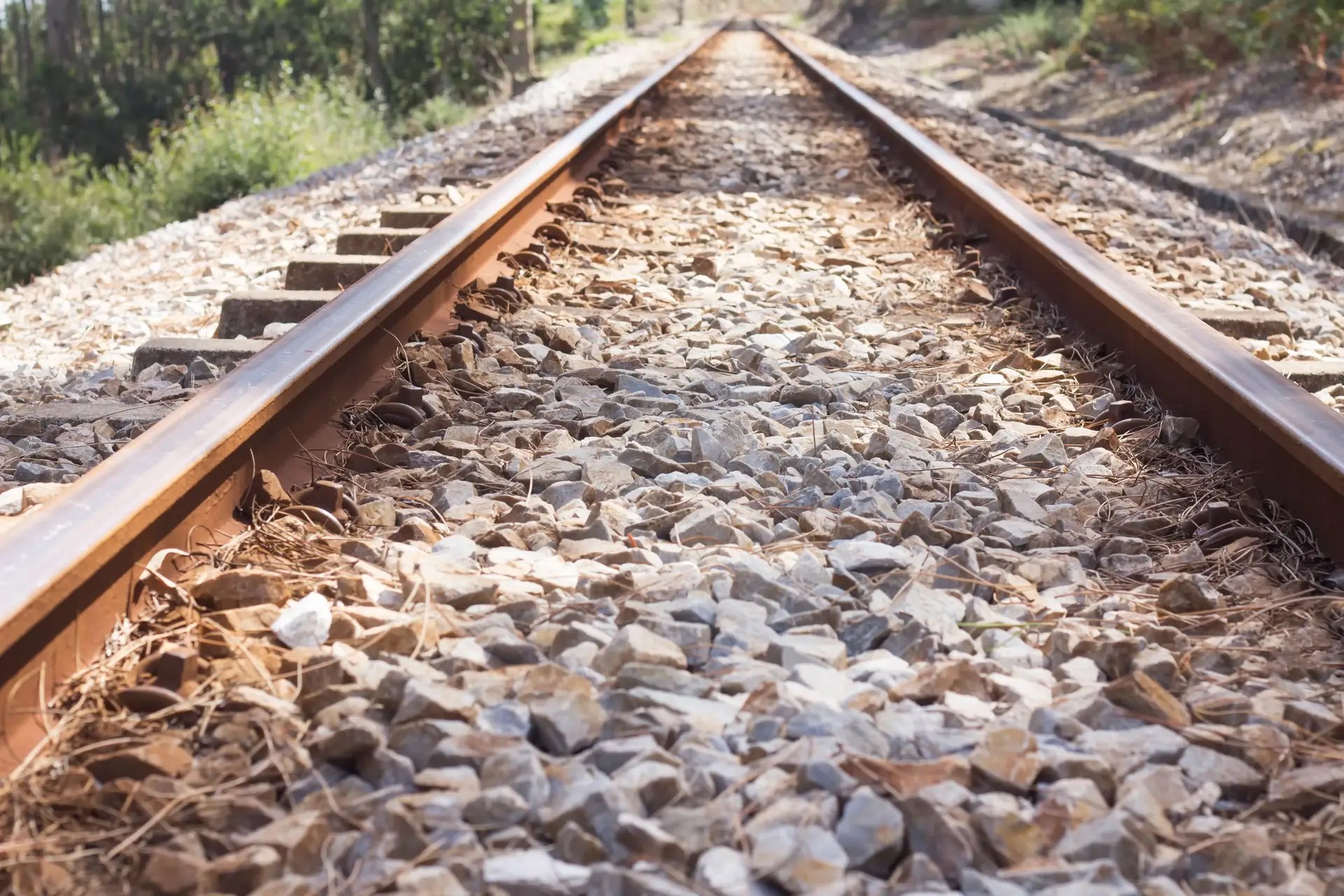 Retomada circulação ferroviária noturna entre o Cais do Sodré e Algés