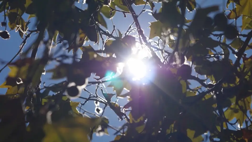A nova legislação altera o artigo 251º do Código de Trabalho relativo às faltas por motivo de falecimento do cônjuge, parente ou afim, passando agora de 5 para "20 dias consecutivos" o período de luto "por falecimento de descendente ou afim no 1º grau da linha reta