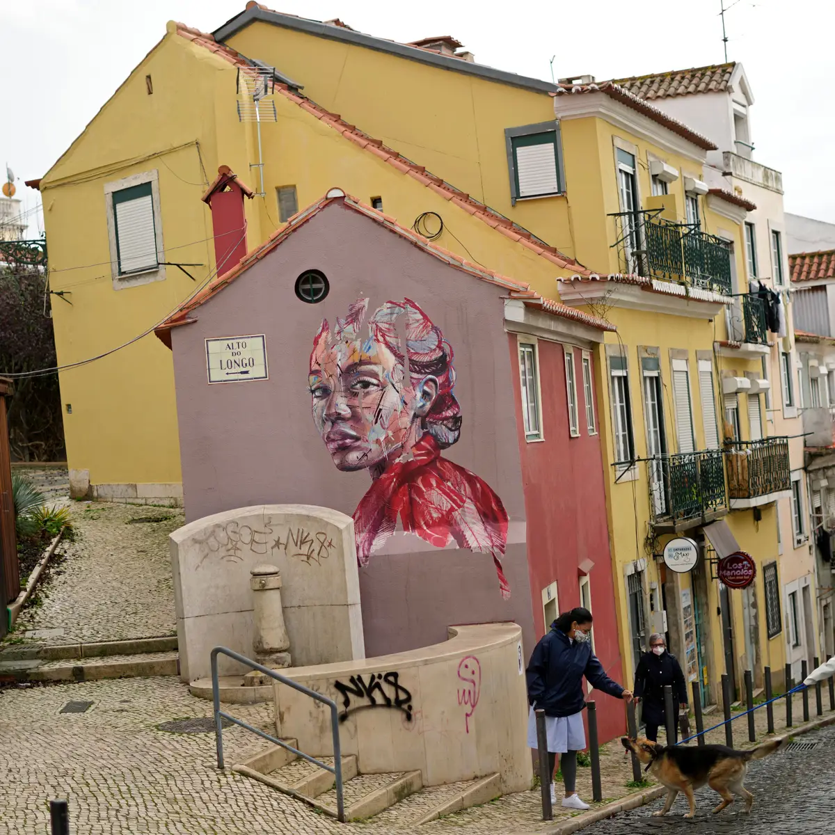 Luis Viana Costa - Faculdade de Direito da Universidade de Lisboa -  Portugal