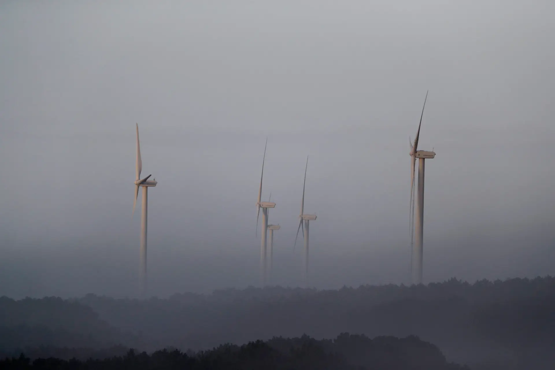 Portugal falhou transposição de diretiva sobre energias renováveis, diz associação Zero