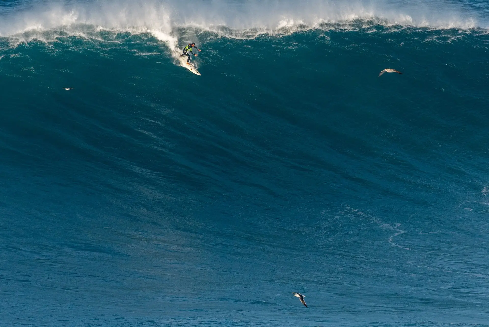 Ondas gigantes da Nazaré: Dois surfistas tiveram de ser transportados para o hospital