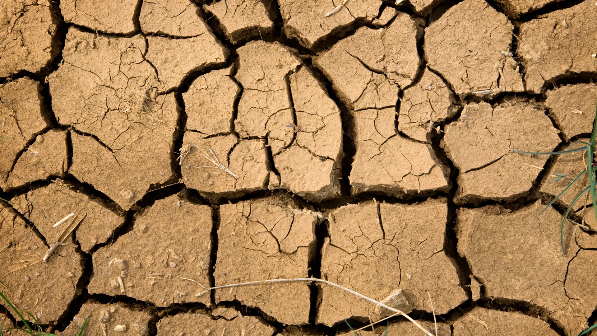 Seca em Trás-os-Montes: agricultores preocupados com falta de chuva