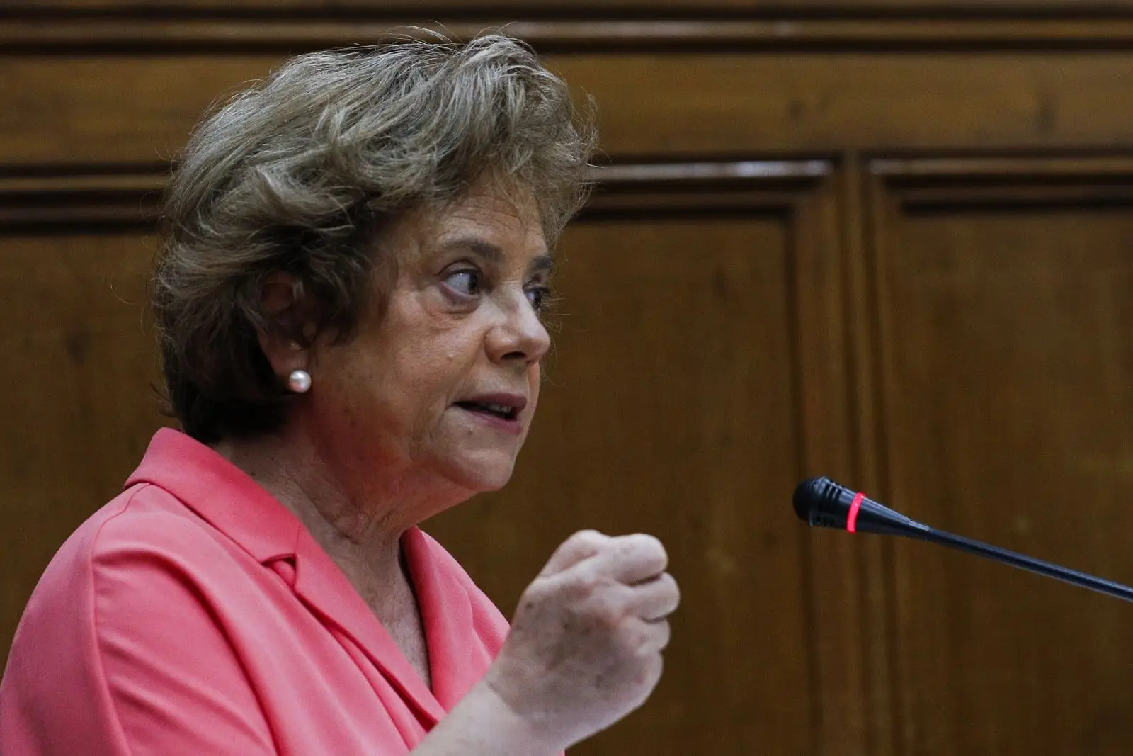 Provedora de Justiça: diferenças no modo de pagamento de apoios às famílias é "preocupante"