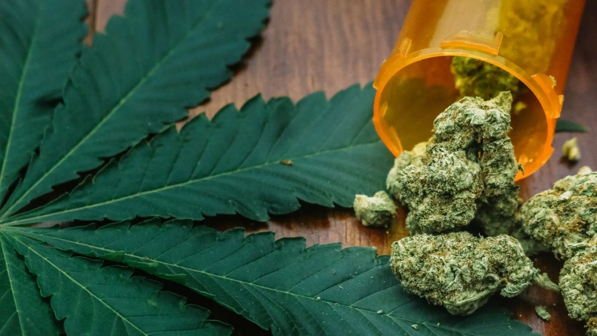 Polícia espanhola detém portuguesa e apreende 8,4 quilos de marijuana