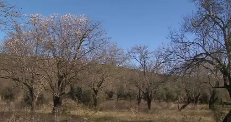 Mais de metade da região do Algarve está em seca moderada