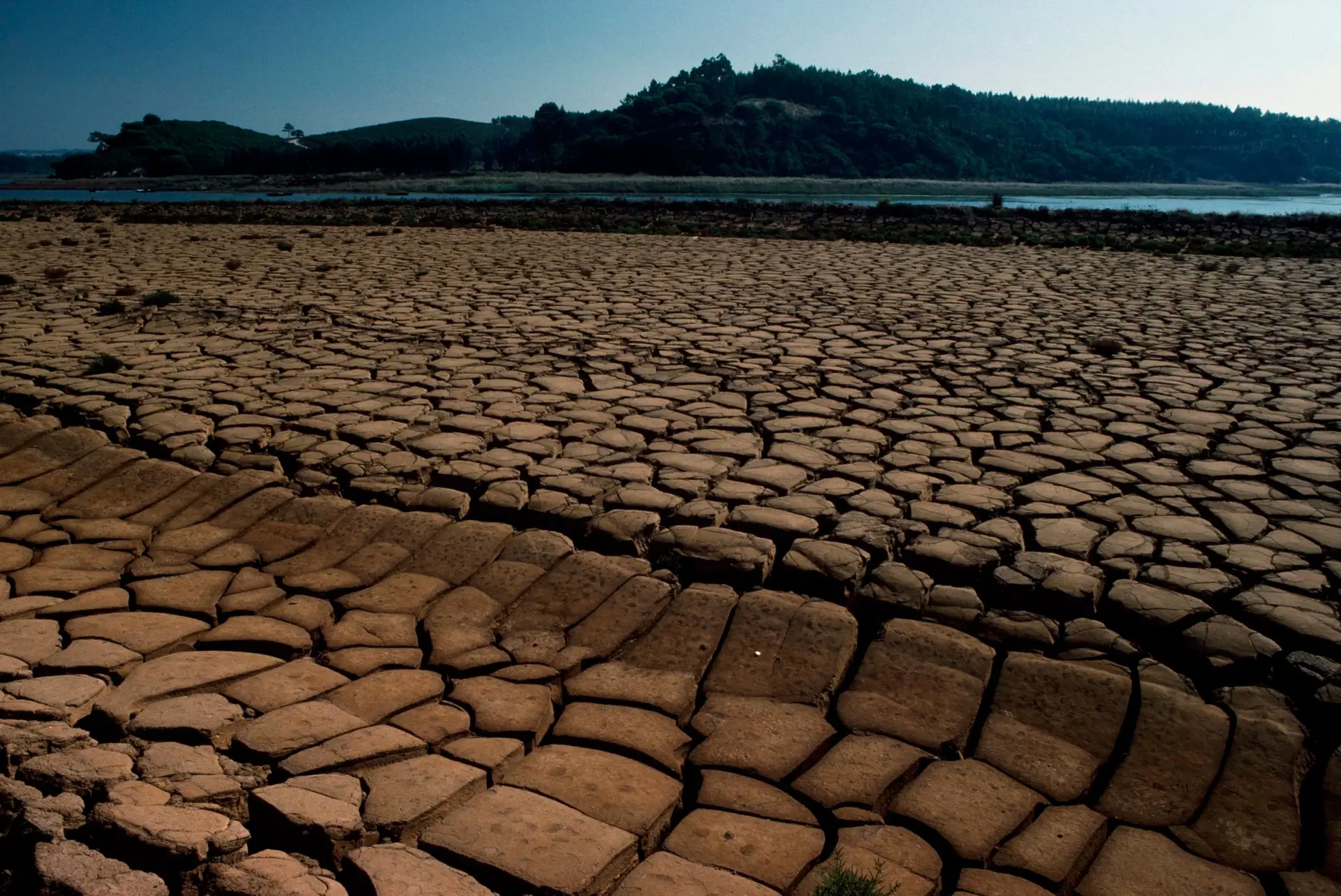 Seca pode comprometer sobrevivência de 77% das zonas húmidas em Portugal