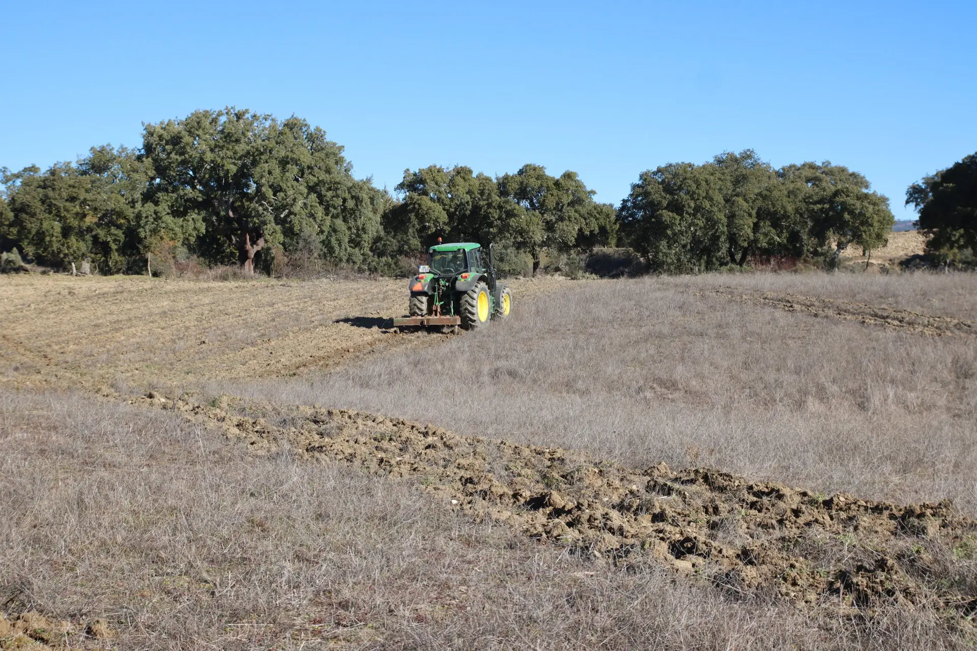 Seca em Trás-os-Montes faz disparar custos de produção na agropecuária