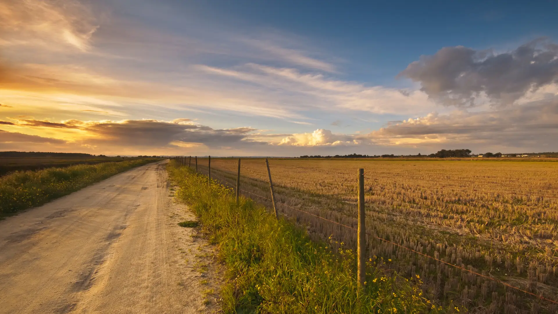 “Vai ser um ano dramático para a agricultura se a natureza não nos dá a mão”