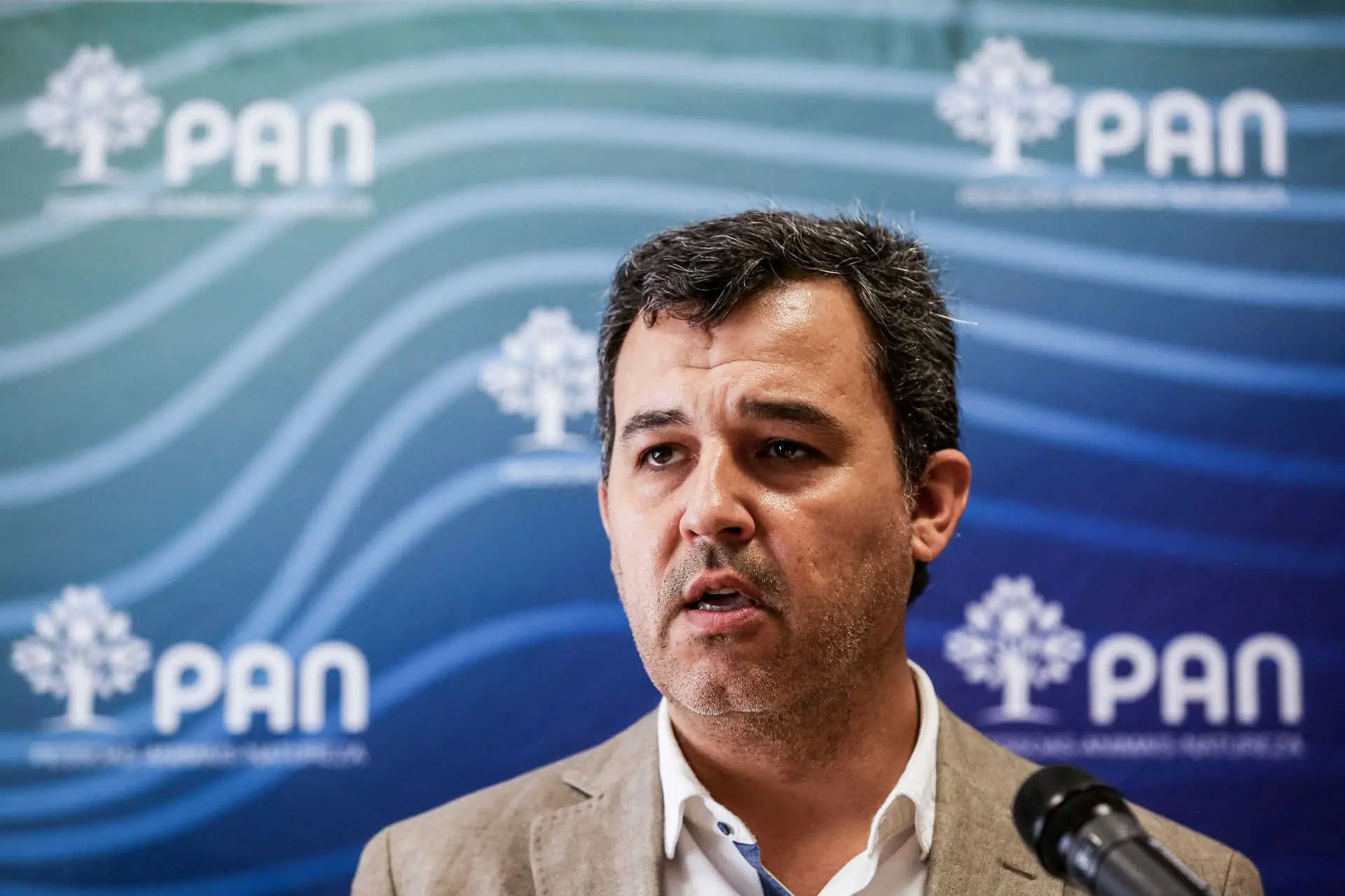 As críticas de André Silva ao PAN: “postura errática” e “afilhado” do PS