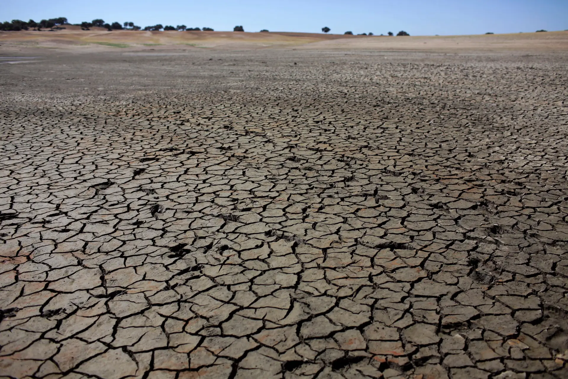 Seca: comerciantes com receio que falta de água prejudique a atividade turística no Verão