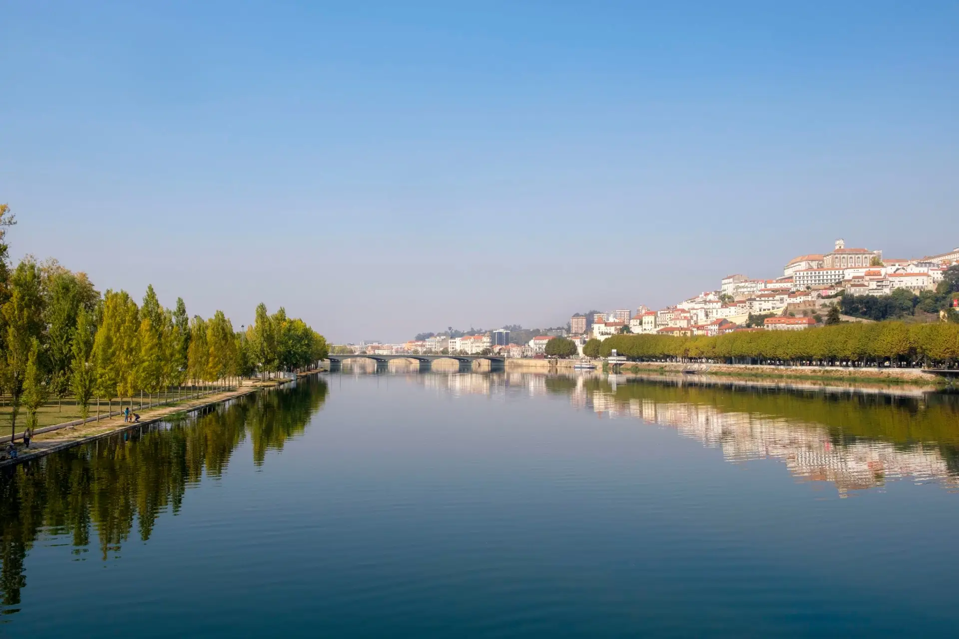 Dois estudantes detidos em Coimbra por suspeita de roubo e violação