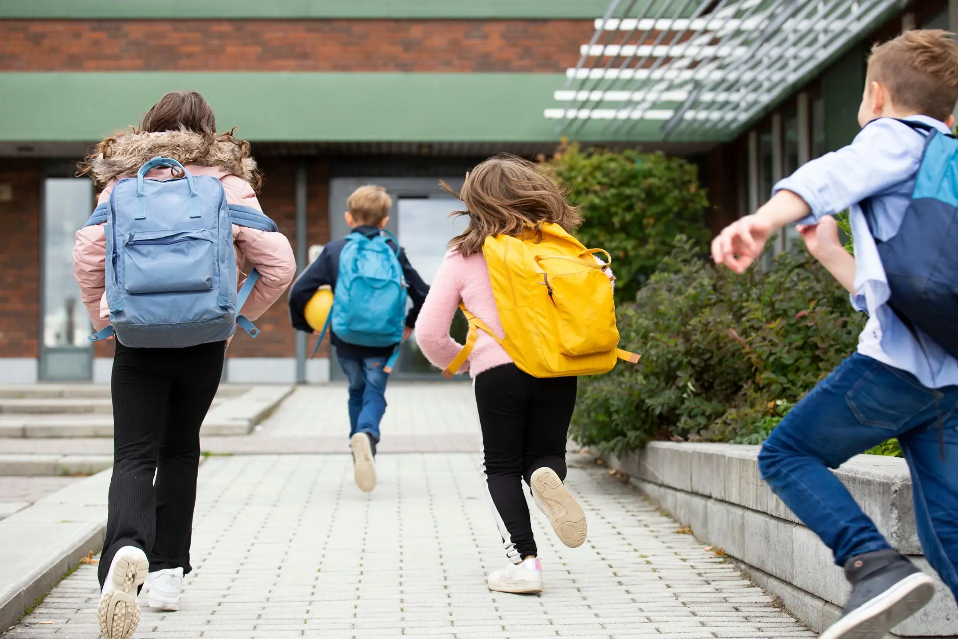 Alergias alimentares: escolas vão ter formação e canetas de adrenalina