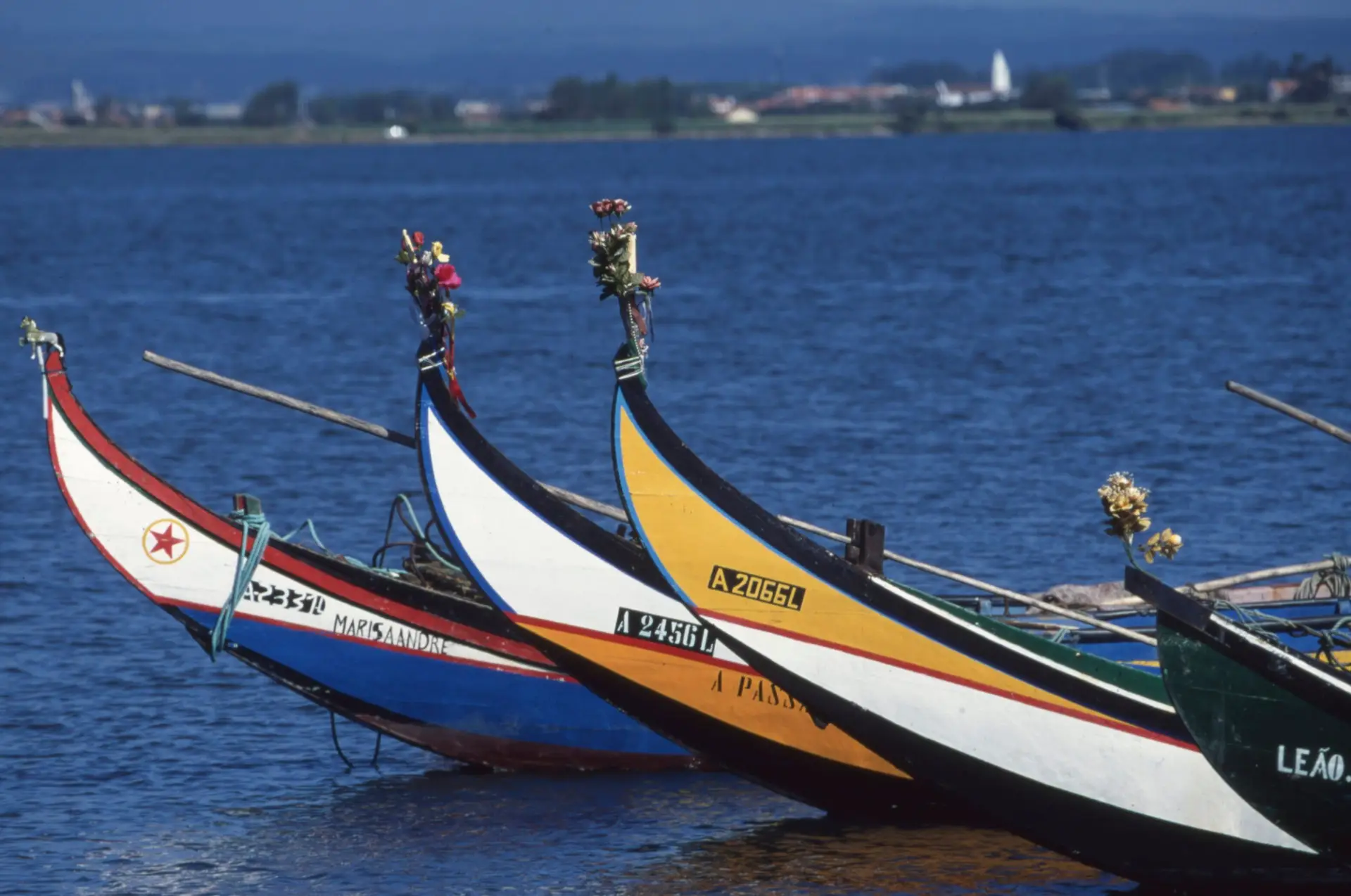Pescadores contra nova exploração de ostras na ria de Aveiro