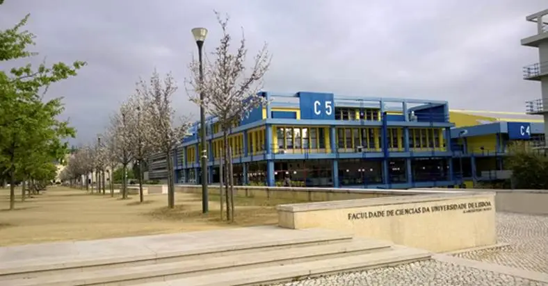 Ataque evitado na Faculdade de Ciências: exames decorrem dentro da normalidade