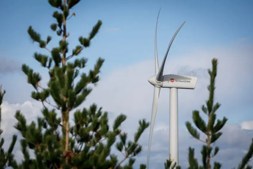 EDP Renováveis lucra 655 milhões de euros em 2021, no seu melhor resultado de sempre