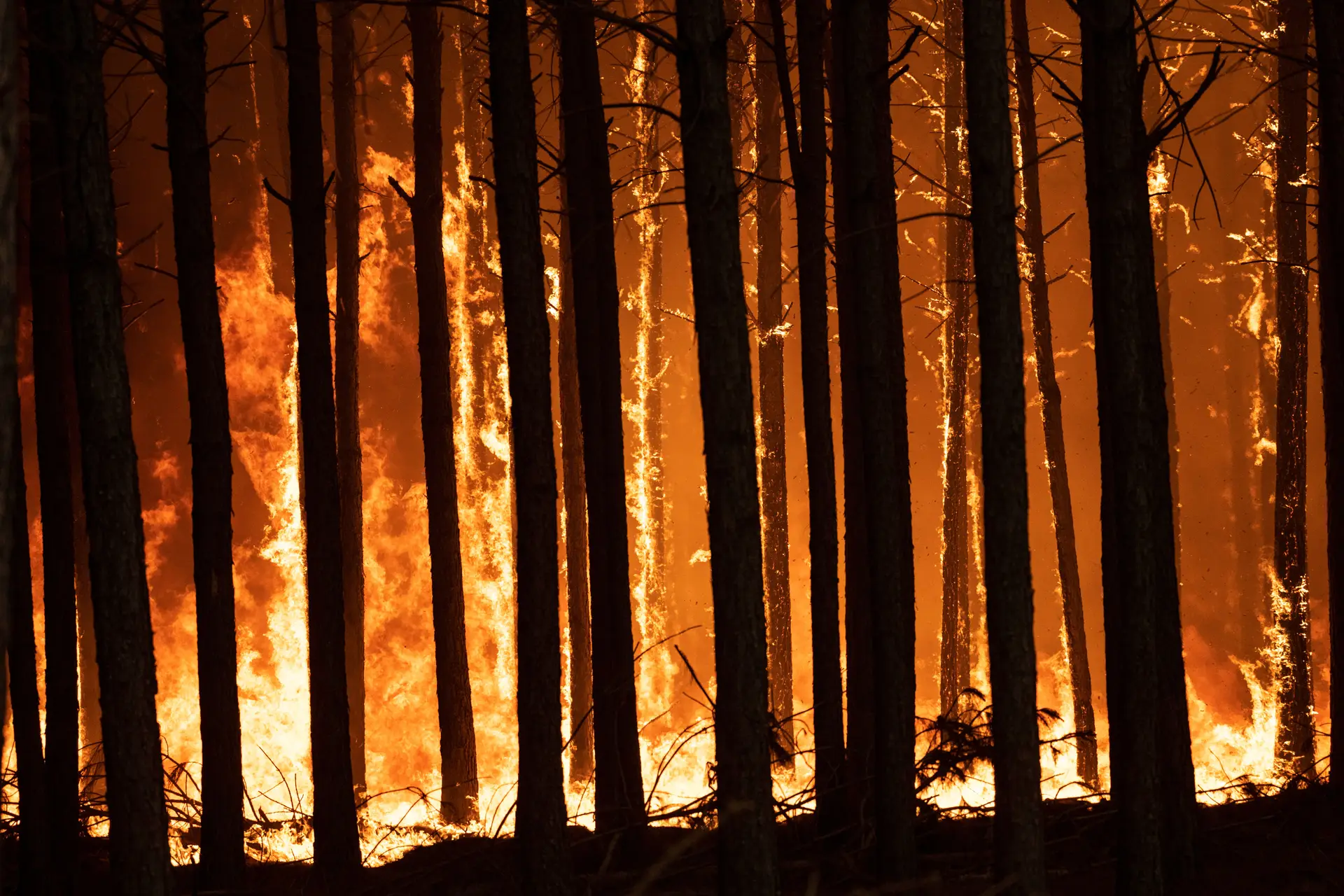 Mais de 800 mil hectares consumidos em incêndio de grandes dimensões na Argentina